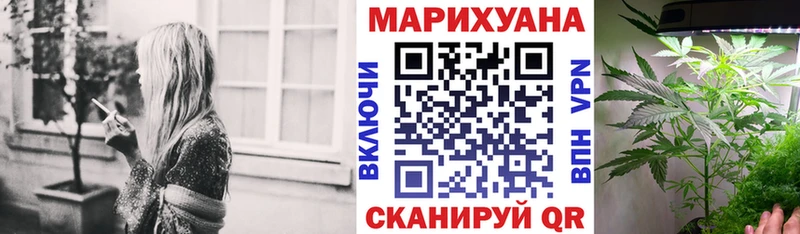 Каннабис OG Kush закладки Почеп
